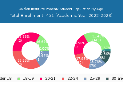 Avalon Institute-Phoenix 2023 Student Population Age Diversity Pie chart