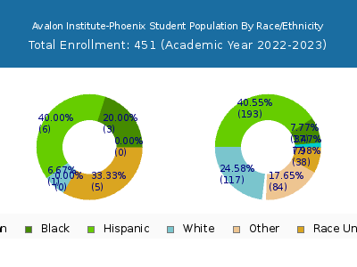 Avalon Institute-Phoenix 2023 Student Population by Gender and Race chart