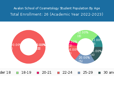Avalon School of Cosmetology 2023 Student Population Age Diversity Pie chart