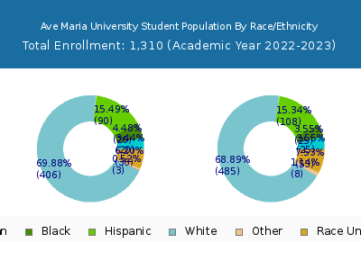 Ave Maria University 2023 Student Population by Gender and Race chart