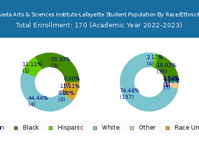Aveda Arts & Sciences Institute-Lafayette 2023 Student Population by Gender and Race chart