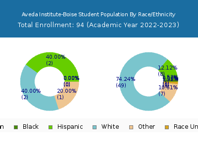 Aveda Institute-Boise 2023 Student Population by Gender and Race chart
