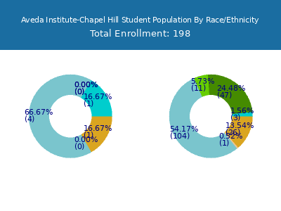 Aveda Institute-Chapel Hill 2025 Student Population by Gender and Race chart