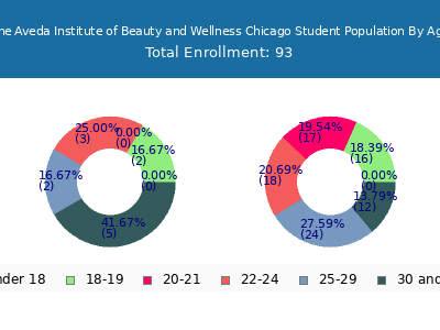 The Aveda Institute of Beauty and Wellness Chicago 2024 Student Population Age Diversity Pie chart
