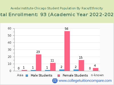 Aveda Institute-Chicago 2023 Student Population by Gender and Race chart
