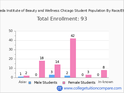 The Aveda Institute of Beauty and Wellness Chicago 2025 Student Population by Gender and Race chart