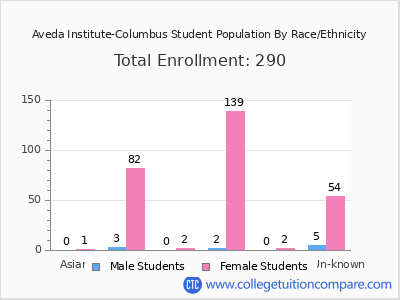 Aveda Institute-Columbus 2025 Student Population by Gender and Race chart