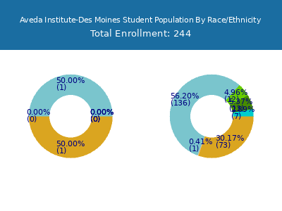 Aveda Institute-Des Moines 2025 Student Population by Gender and Race chart