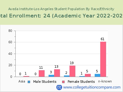 Aveda Institute-Los Angeles 2023 Student Population by Gender and Race chart