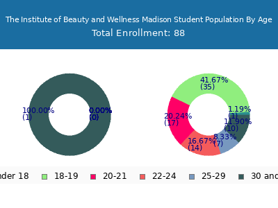 The Institute of Beauty and Wellness Madison 2024 Student Population Age Diversity Pie chart