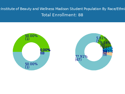 The Institute of Beauty and Wellness Madison 2025 Student Population by Gender and Race chart