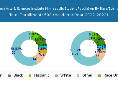 Aveda Arts & Sciences Institute Minneapolis 2023 Student Population by Gender and Race chart