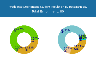 Aveda Institute Montana 2025 Student Population by Gender and Race chart