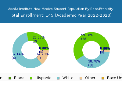 Aveda Institute-New Mexico 2023 Student Population by Gender and Race chart