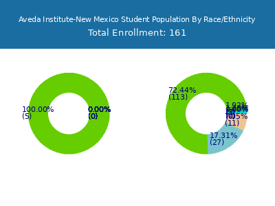 Aveda Institute-New Mexico 2025 Student Population by Gender and Race chart