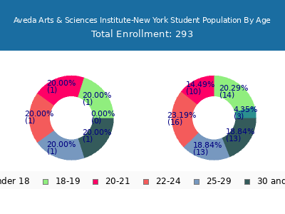 Aveda Arts & Sciences Institute-New York 2024 Student Population Age Diversity Pie chart