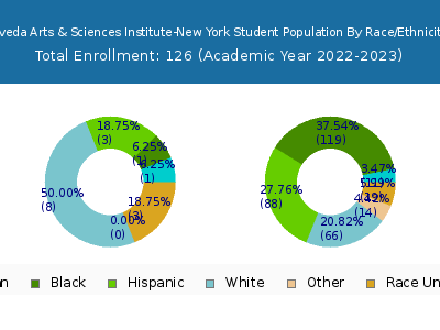 Aveda Arts & Sciences Institute-New York 2023 Student Population by Gender and Race chart