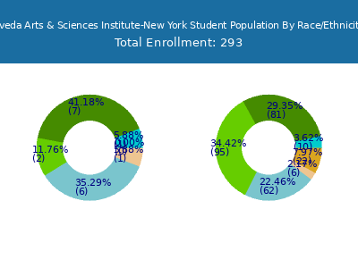 Aveda Arts & Sciences Institute-New York 2025 Student Population by Gender and Race chart