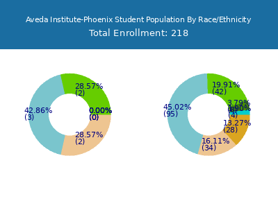 Aveda Institute-Phoenix 2025 Student Population by Gender and Race chart