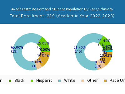 Aveda Institute-Portland 2023 Student Population by Gender and Race chart