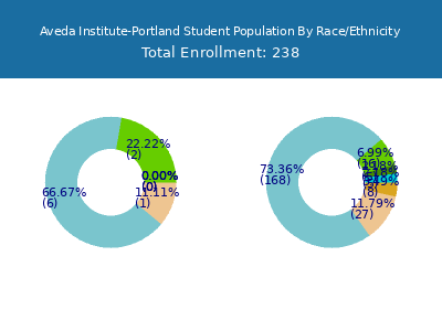 Aveda Institute-Portland 2025 Student Population by Gender and Race chart