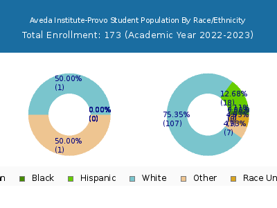 Aveda Institute-Provo 2023 Student Population by Gender and Race chart