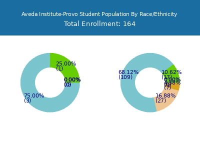 Aveda Institute-Provo 2025 Student Population by Gender and Race chart