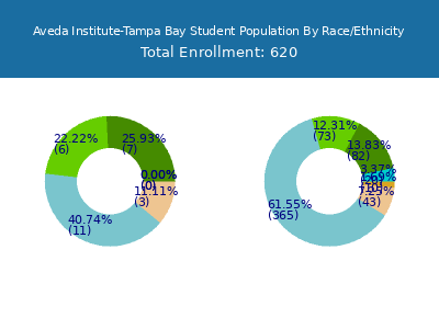 Aveda Institute-Tampa Bay 2025 Student Population by Gender and Race chart