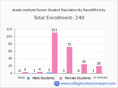Aveda Institute-Tucson 2025 Student Population by Gender and Race chart