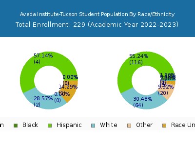 Aveda Institute-Tucson 2023 Student Population by Gender and Race chart