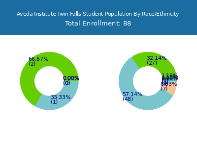 Aveda Institute-Twin Falls 2025 Student Population by Gender and Race chart