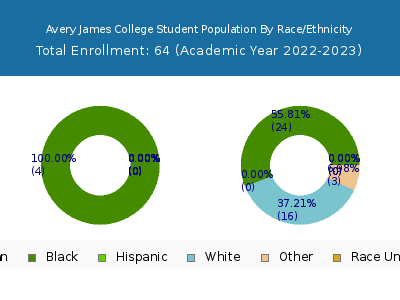 Avery James College 2023 Student Population by Gender and Race chart