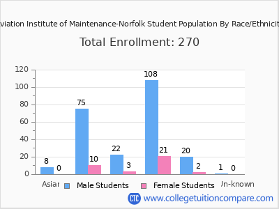 Aviation Institute of Maintenance-Norfolk 2025 Student Population by Gender and Race chart