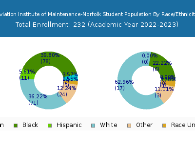 Aviation Institute of Maintenance-Norfolk 2023 Student Population by Gender and Race chart