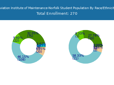 Aviation Institute of Maintenance-Norfolk 2025 Student Population by Gender and Race chart