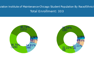 Aviation Institute of Maintenance-Chicago 2025 Student Population by Gender and Race chart