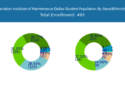 Aviation Institute of Maintenance-Dallas 2025 Student Population by Gender and Race chart