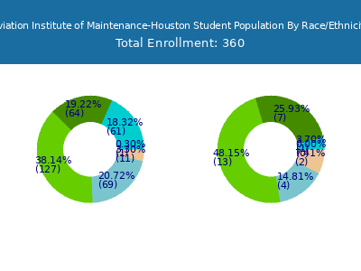 Aviation Institute of Maintenance-Houston 2025 Student Population by Gender and Race chart