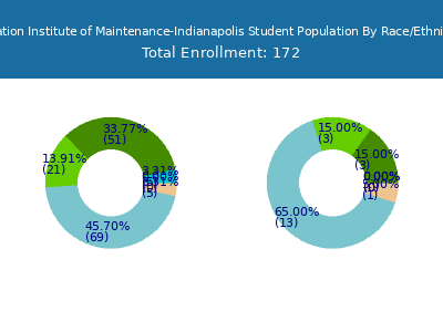 Aviation Institute of Maintenance-Indianapolis 2025 Student Population by Gender and Race chart