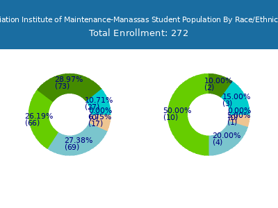 Aviation Institute of Maintenance-Manassas 2025 Student Population by Gender and Race chart