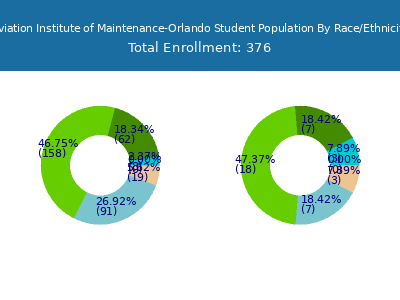 Aviation Institute of Maintenance-Orlando 2025 Student Population by Gender and Race chart