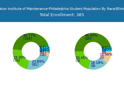 Aviation Institute of Maintenance-Philadelphia 2025 Student Population by Gender and Race chart