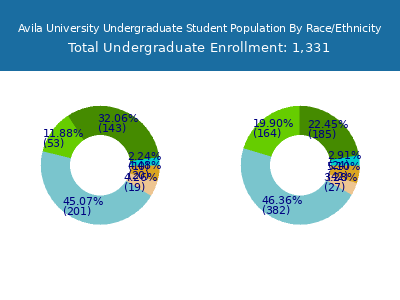 Avila University 2025 Undergraduate Enrollment by Gender and Race chart