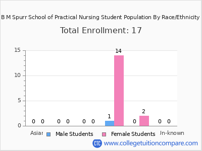 B M Spurr School of Practical Nursing 2025 Student Population by Gender and Race chart
