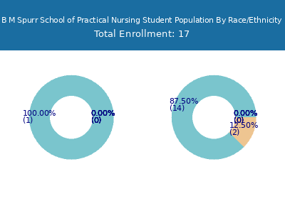 B M Spurr School of Practical Nursing 2025 Student Population by Gender and Race chart