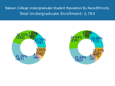 Babson College 2025 Undergraduate Enrollment by Gender and Race chart