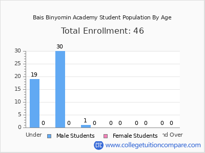 Bais Binyomin Academy 2024 Student Population by Age chart