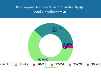 Bais Binyomin Academy 2024 Student Population Age Diversity Pie chart