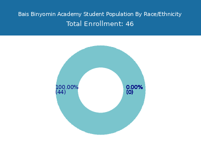 Bais Binyomin Academy 2025 Student Population by Gender and Race chart