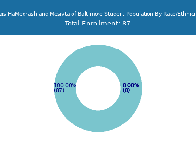 Bais HaMedrash and Mesivta of Baltimore 2025 Student Population by Gender and Race chart